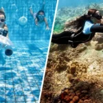 Best Underwater Scooters - Top Picks for Diving, Snorkeling, and Adventure